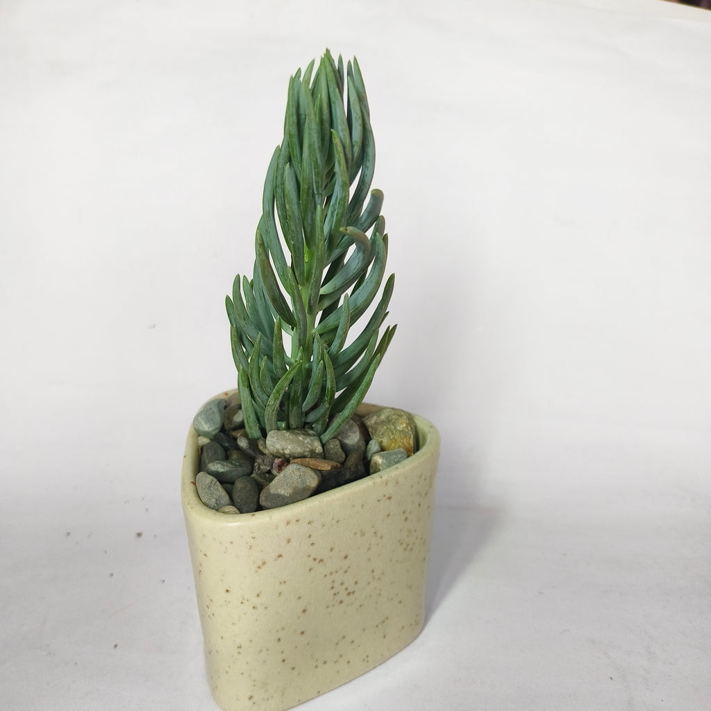 Blue chalkstick