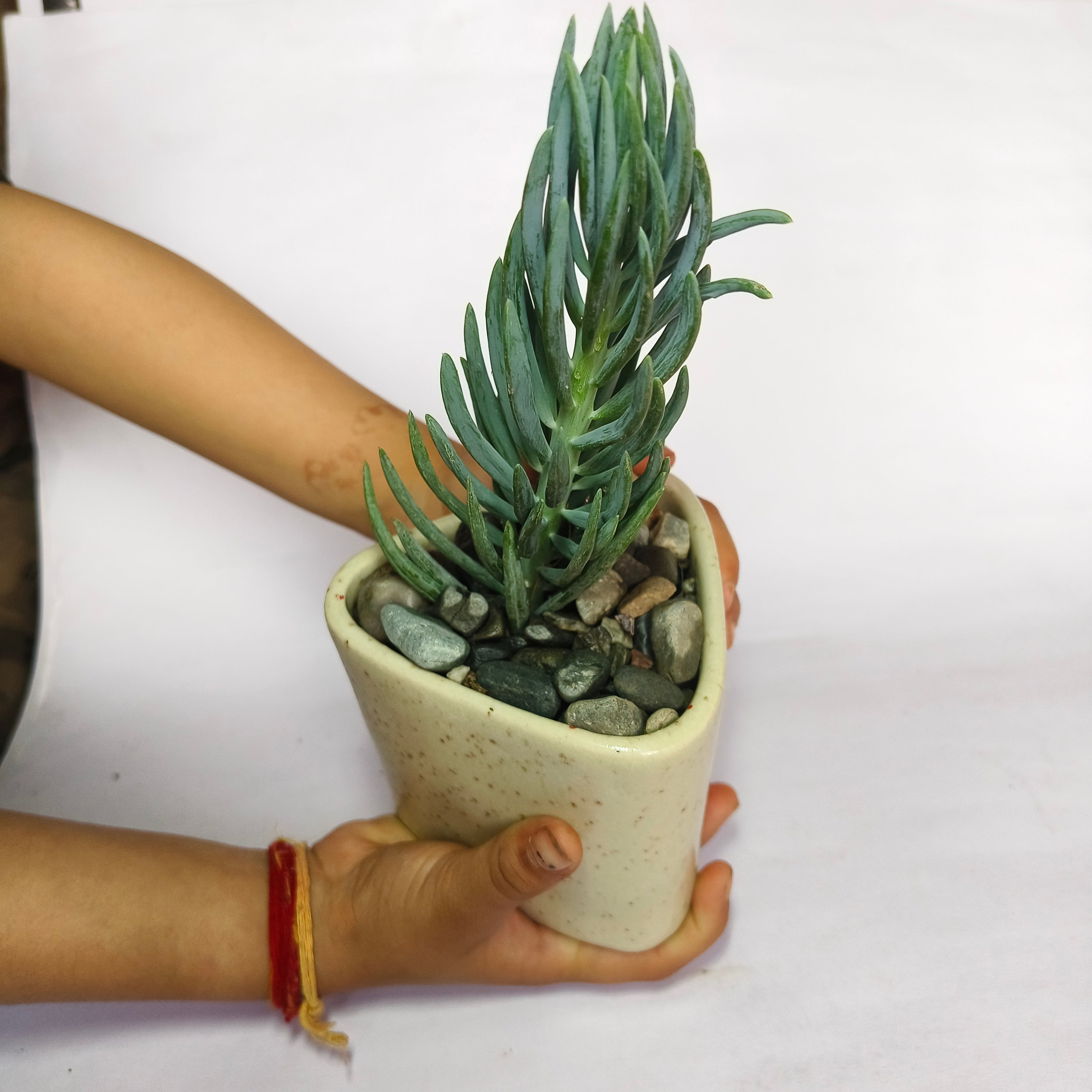Blue chalkstick