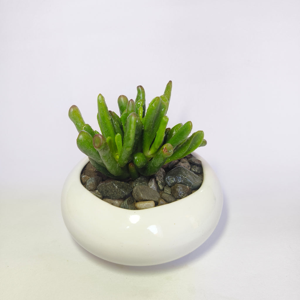 Gollum jade