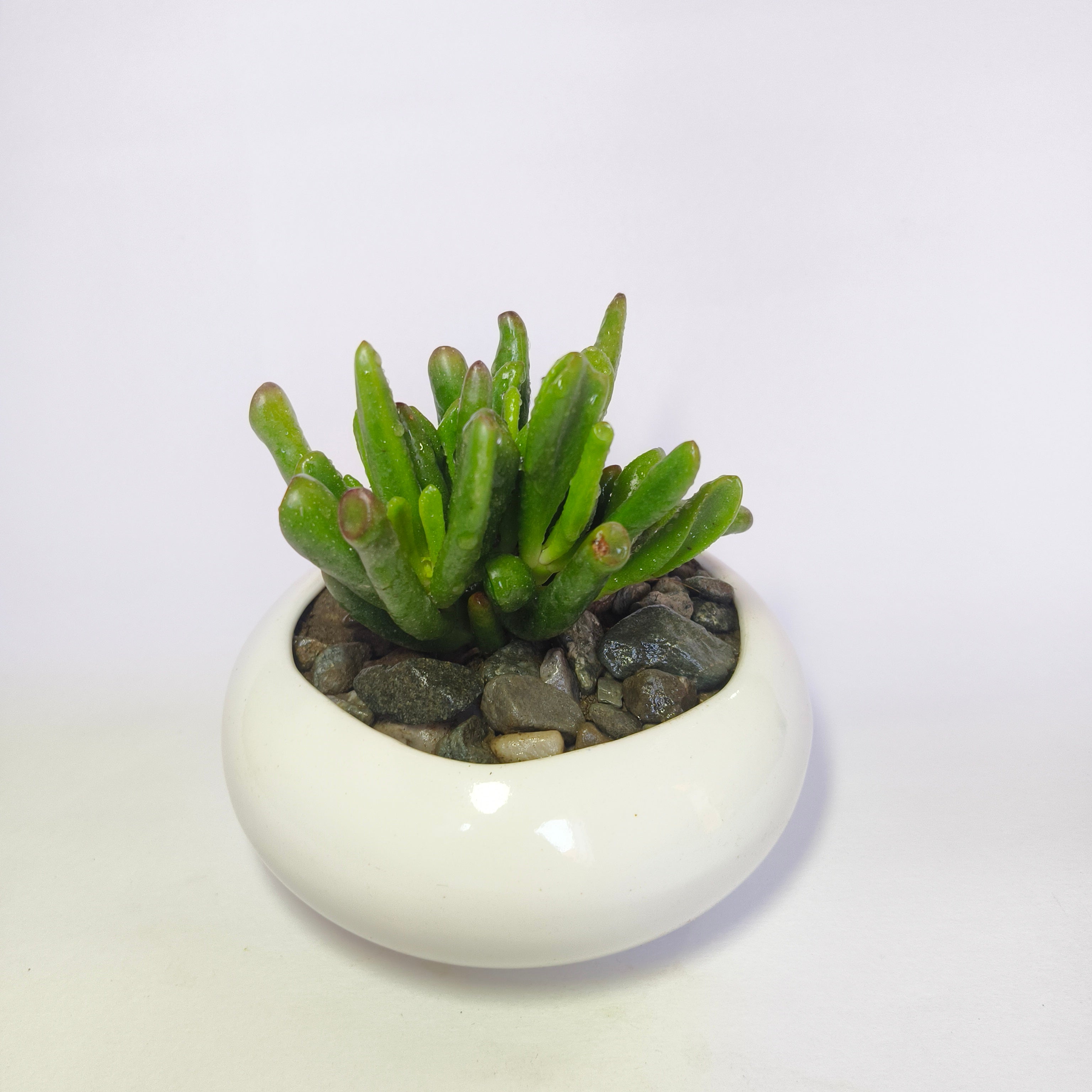 Gollum jade