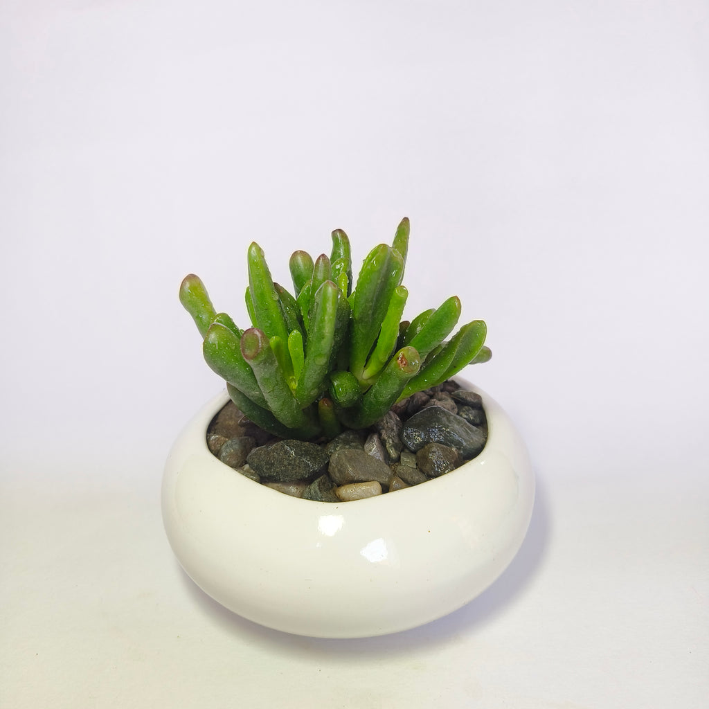 Gollum jade