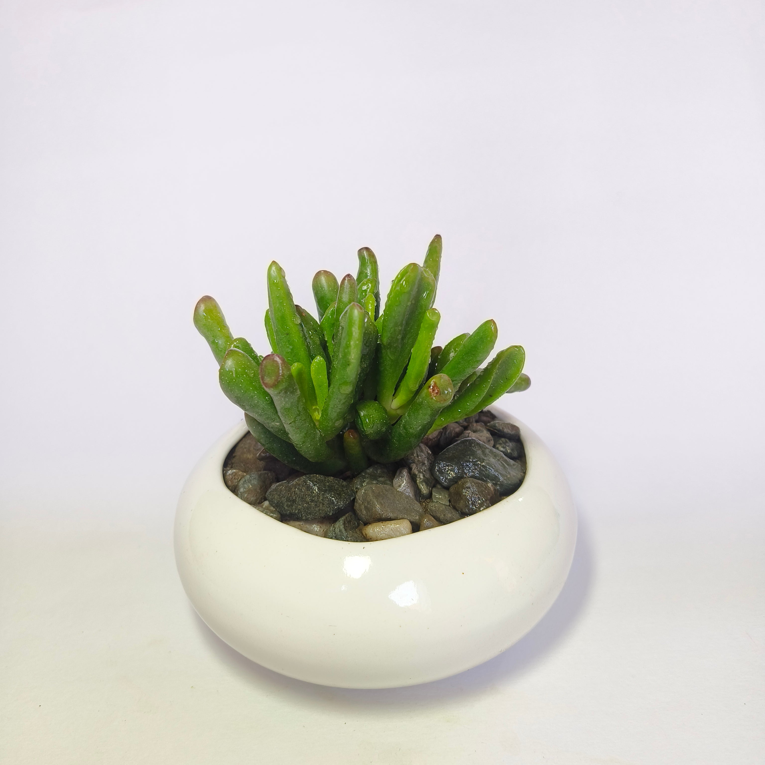 Gollum jade