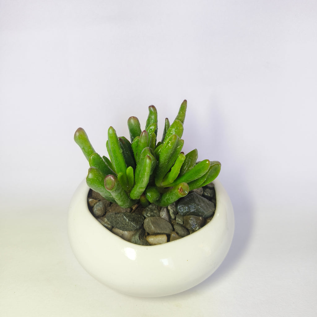 Gollum jade