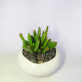 Gollum jade
