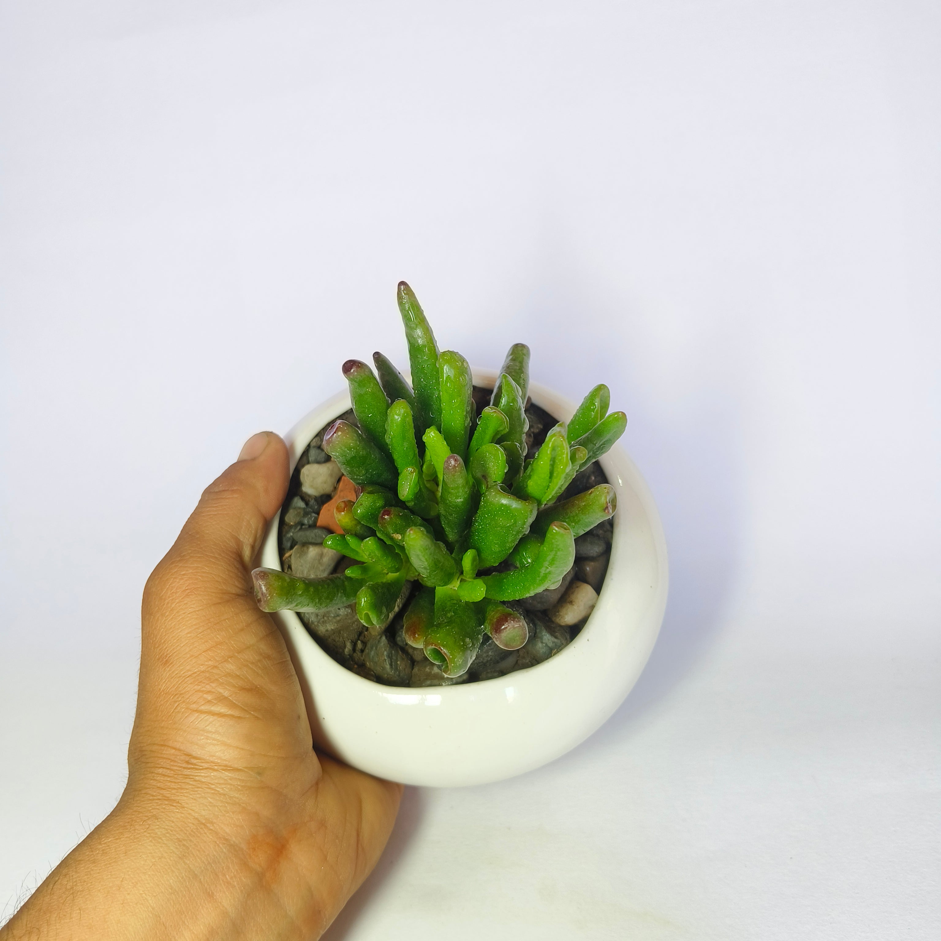 Gollum jade