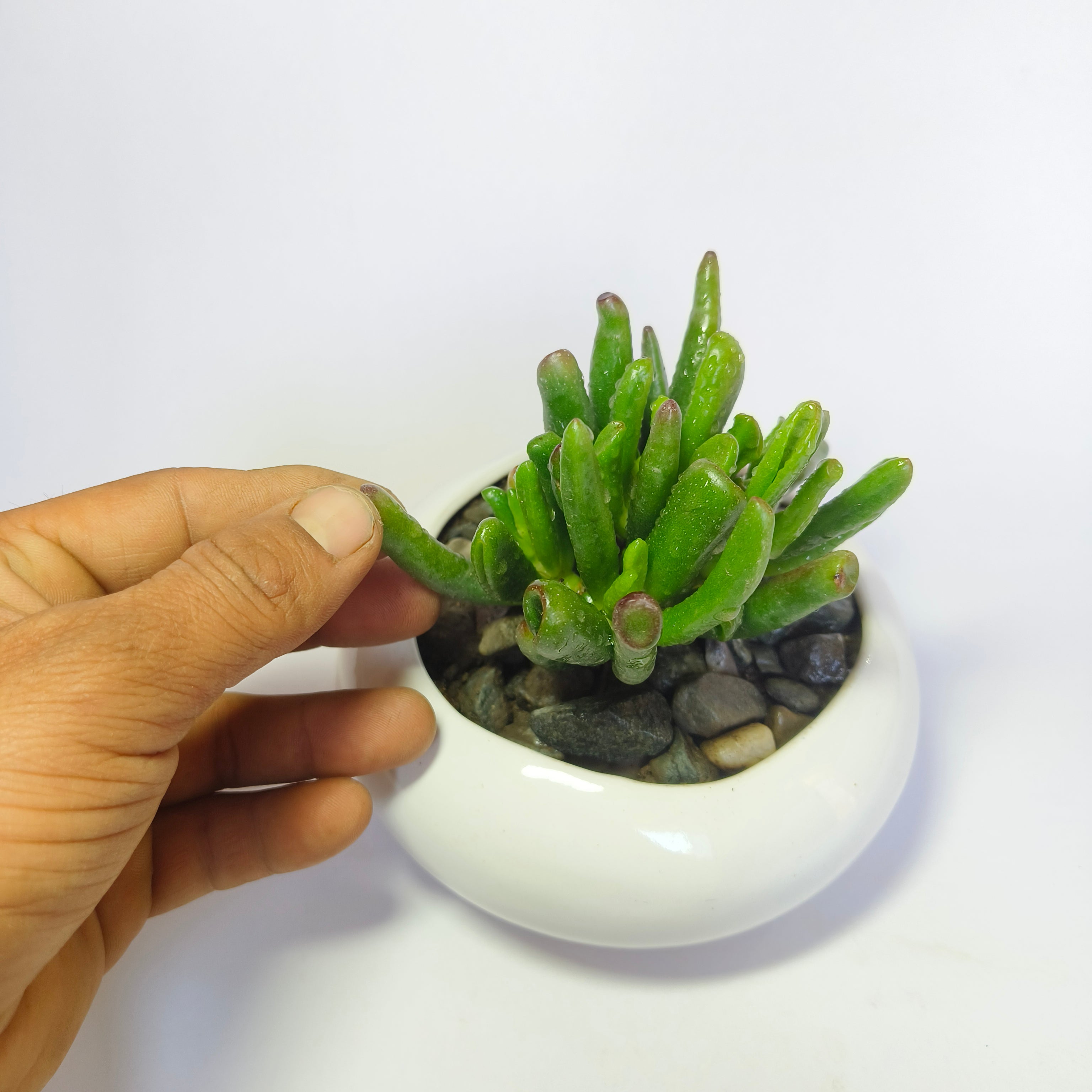 Gollum jade