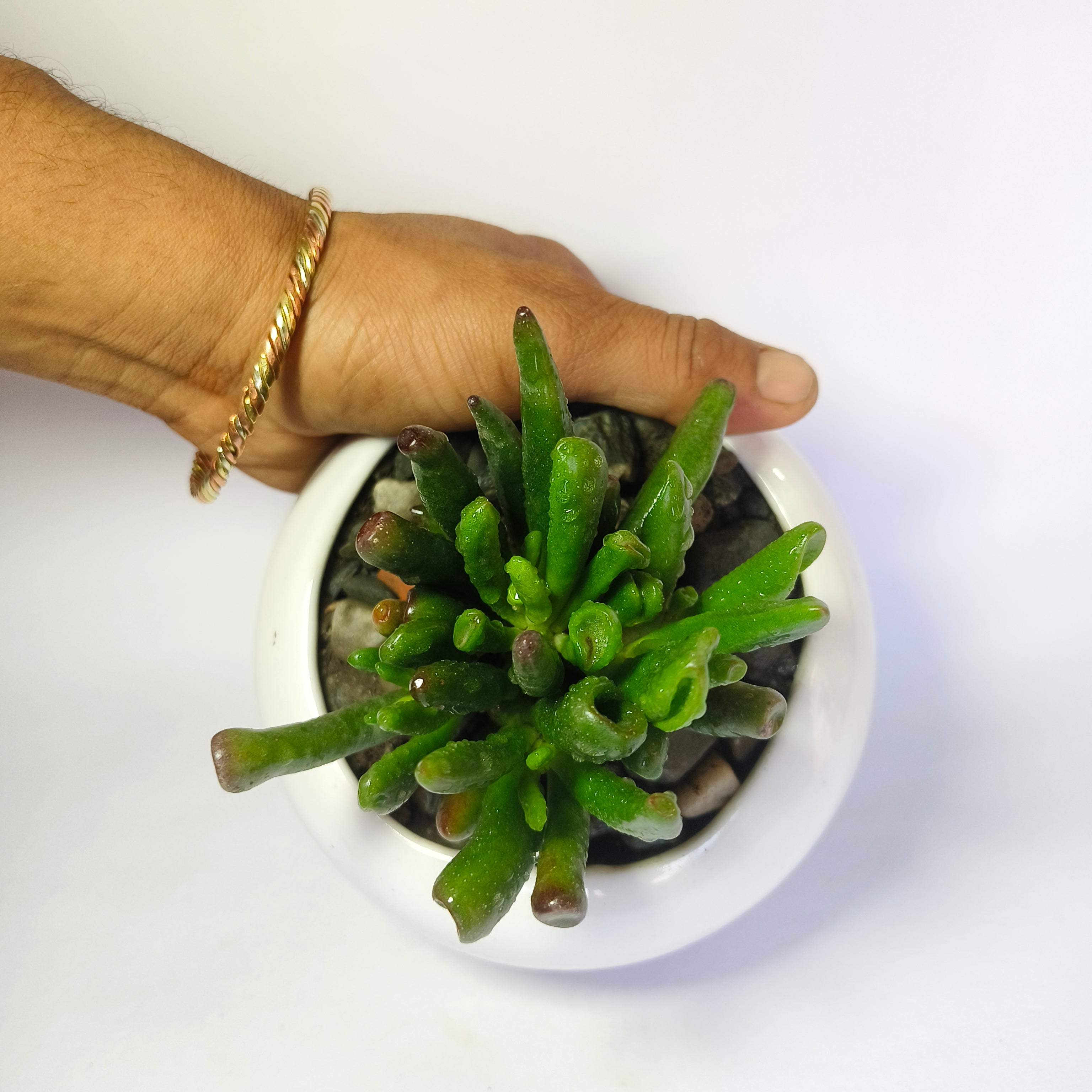 Gollum jade