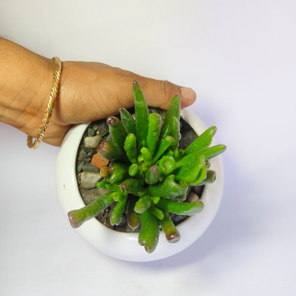 Gollum jade
